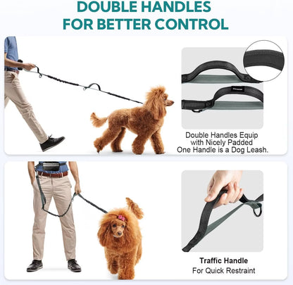 Hands Free Dog Leash for 1 or 2 Dogs