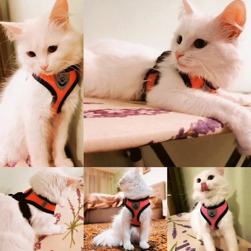 Adjustable Mesh Cat Harness Vest with Leash - Perfect for Small to Medium Dogs and Puppies