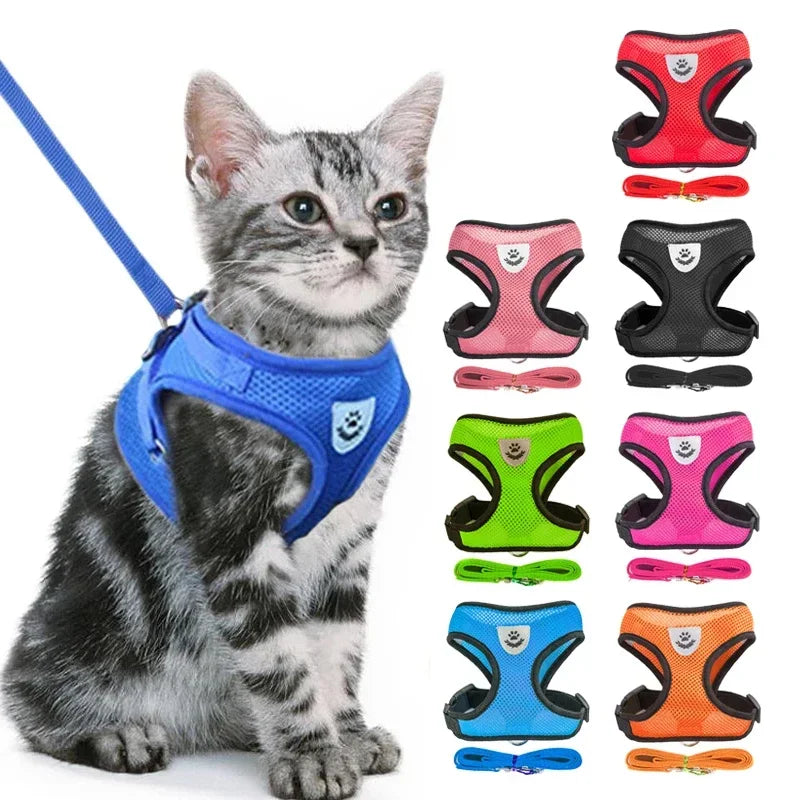 Adjustable Mesh Cat Harness Vest with Leash - Perfect for Small to Medium Dogs and Puppies