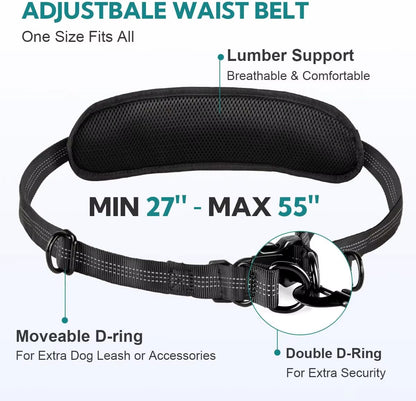 Hands Free Dog Leash for 1 or 2 Dogs