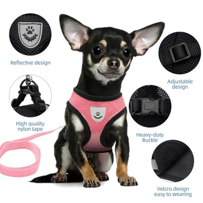 Adjustable Mesh Cat Harness Vest with Leash - Perfect for Small to Medium Dogs and Puppies