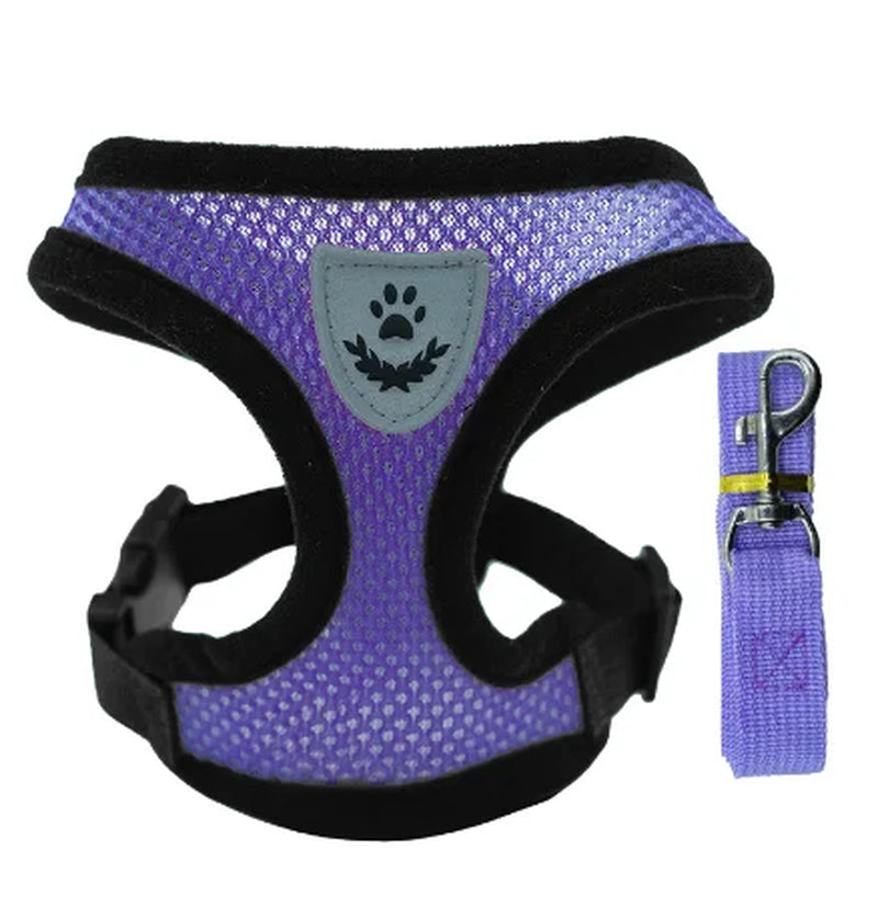 Adjustable Mesh Cat Harness Vest with Leash - Perfect for Small to Medium Dogs and Puppies